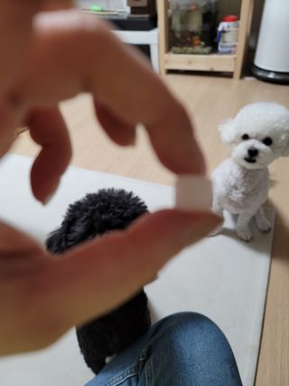 맨날배고파님이 올린 리뷰 사진 4