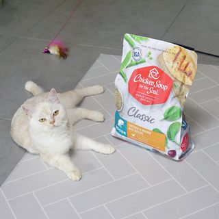 레몬걸님이 올린 리뷰 사진 2