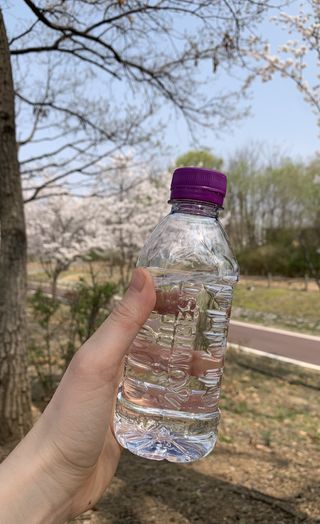 potatopizza님이 올린 리뷰 사진 2