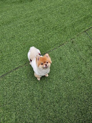 미뎡님이 올린 리뷰 사진 2