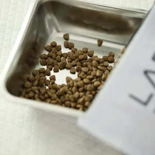 [푸디웜] 라포그 리얼인섹트 소프트키블 스킨 1KG — 5점을 준 리뷰어가 2022년 9월 올린 사용 사진