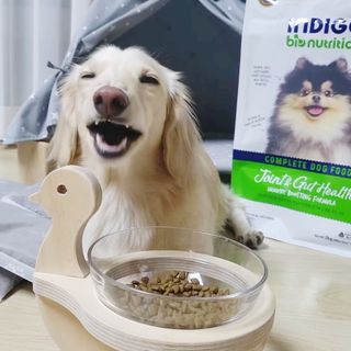 PDKIM님이 올린 리뷰 사진 2
