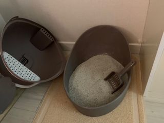 겟플렉스 켓플렉스 캣츠룸BS-1 고양이모래 4kg — 4점을 준 리뷰어가 2021년 2월 올린 사용 사진