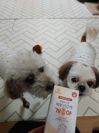 My Pet Care 모발과 모질 피부건강에 개좋아 — 2.5점을 준 리뷰어가 2021년 2월 올린 사용 사진