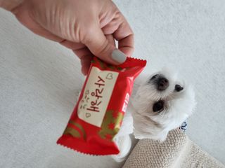 뽀오오옹님이 올린 리뷰 사진 1