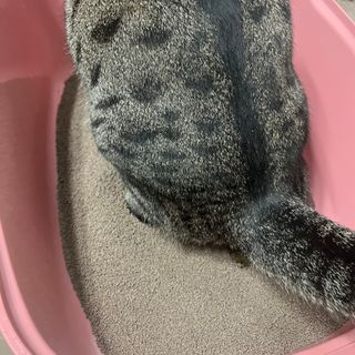 시리꽃님이 올린 리뷰 사진 2