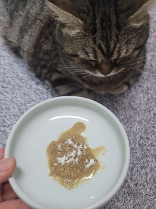 나초단맘님이 올린 리뷰 사진 3