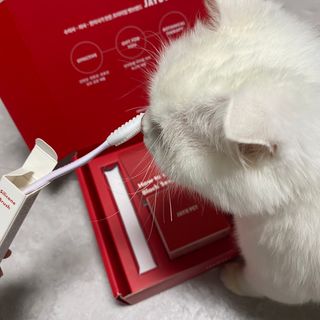[자유펫] 고양이 턱드름 여드름 예방 및 제거 세트, 블랙씨드케어박스 — 5점을 준 리뷰어가 2021년 10월 올린 사용 사진