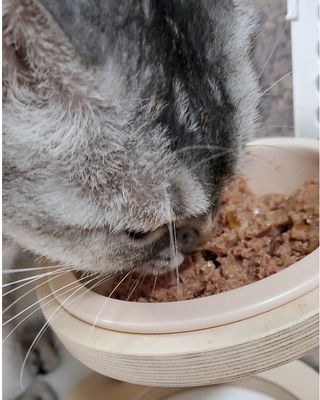 으하하하하님이 올린 리뷰 사진 2