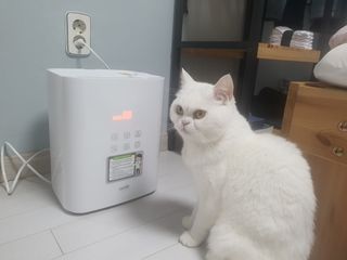 파비올라님이 올린 리뷰 사진 2