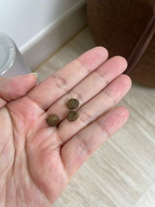 쬬발님이 올린 리뷰 사진 3