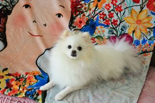 JAY님이 올린 리뷰 사진 1