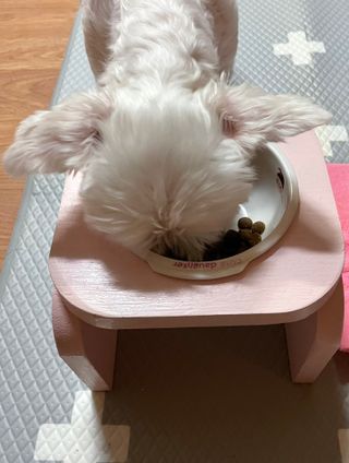 cherry님이 올린 리뷰 사진 4