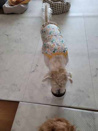포비맘님이 올린 리뷰 사진 4