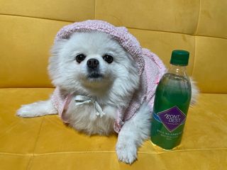 몽베스트 Montbest with Sparkling water Plain 20병 — 5점을 준 리뷰어가 2021년 11월 올린 사용 사진