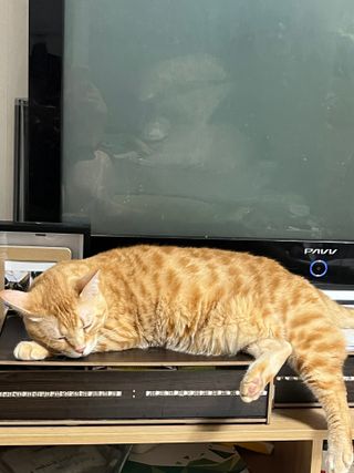 이아님이 올린 리뷰 사진 1