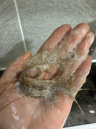 고구마공주님님이 올린 리뷰 사진 2