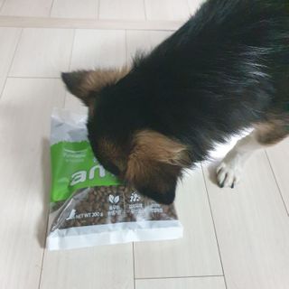 꽃수니어니님이 올린 리뷰 사진 3