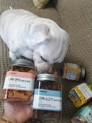 진진이님이 올린 리뷰 사진 2