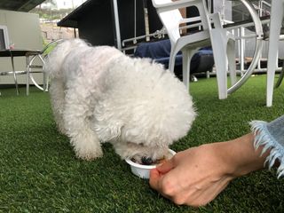 하시모님이 올린 리뷰 사진 4