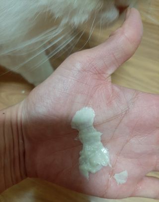 켈리심님이 올린 리뷰 사진 1
