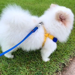 오랑이님이 올린 리뷰 사진 4
