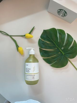 달리프 클로렐라 베러 루트 릴렉싱 샴푸 500ml — 5점을 준 리뷰어가 2021년 5월 올린 사용 사진