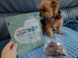 My Pet Care 천연단백질 눈건강에 개좋아 — 4점을 준 리뷰어가 2021년 2월 올린 사용 사진