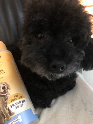 지구별철학자님이 올린 리뷰 사진 4