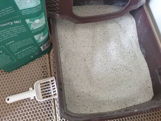 5냥2멍님이 올린 리뷰 사진 4