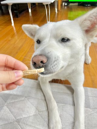 Jenny님이 올린 리뷰 사진 3