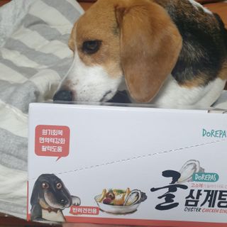 beaglelove님이 올린 리뷰 사진 1