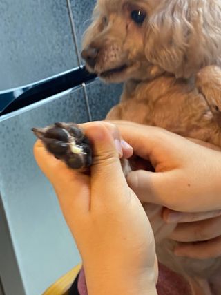 minji님이 올린 리뷰 사진 3