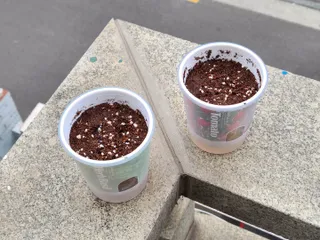 joanna님이 올린 리뷰 사진 3