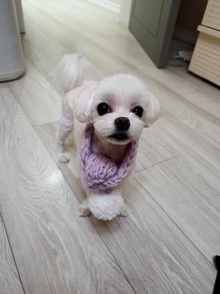 라임님이 올린 리뷰 사진 3