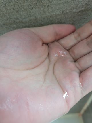 엘쏘둥님이 올린 리뷰 사진 3