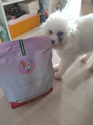 햇님달님님이 올린 리뷰 사진 1