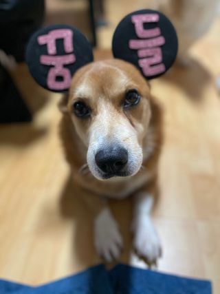 달콤쌉쌀쇼콜라님이 올린 리뷰 사진 4