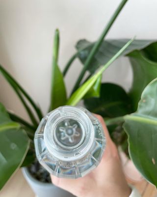 ccoyo님이 올린 리뷰 사진 4