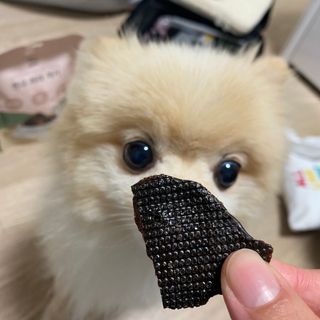 세지니힛님이 올린 리뷰 사진 4