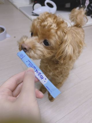 ehlove님이 올린 리뷰 사진 3