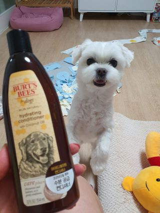 뽀오오옹님이 올린 리뷰 사진 1