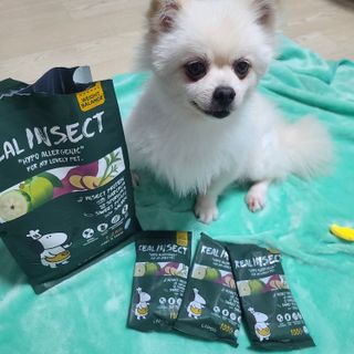 [푸디웜] 라포그  리얼인섹트 웨이트밸런스 저알러지 강아지 사료  1.2KG — 5점을 준 리뷰어가 2022년 7월 올린 사용 사진