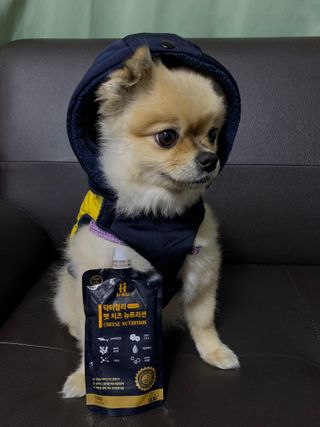 Ariel님이 올린 리뷰 사진 1