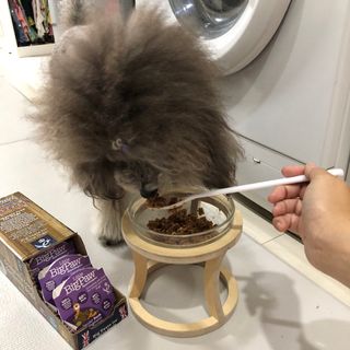 十二夜님이 올린 리뷰 사진 3