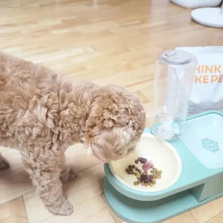 씽크라이크펫 큐브생식 1kg — 5점을 준 리뷰어가 2022년 11월 올린 사용 사진