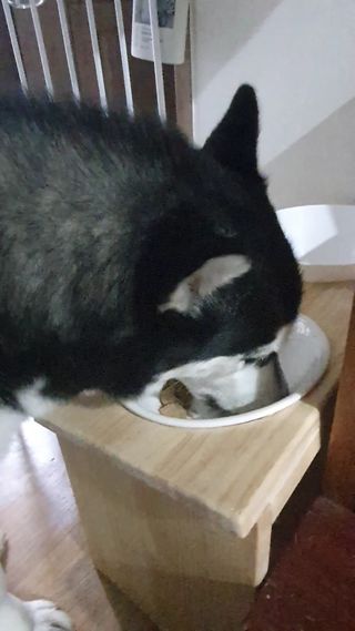 전소은님이 올린 리뷰 사진 2