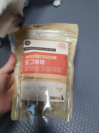 도그퓨어 피부와모질/혼합유산균/글루코사민 유기농 로스팅 사료 — 5점을 준 리뷰어가 2021년 9월 올린 사용 사진