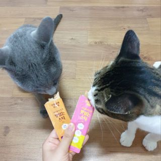 페페로니 맛있는 스틱 - 무항생제 닭고기 15개 + 알래스카 연어 15개 — 5점을 준 리뷰어가 2021년 8월 올린 사용 사진