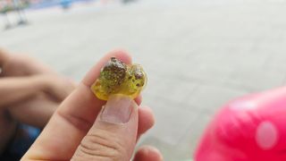 키위알맹이 골드키위 & 키위 알맹이 2종 — 5점을 준 리뷰어가 2025년 8월 올린 사용 사진